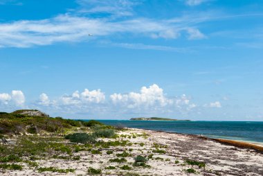 Büyük Türk adasından (Türkler ve Caicos Adaları) ayrılan arka planda bir uçağın olduğu vahşi bir sahil manzarası).