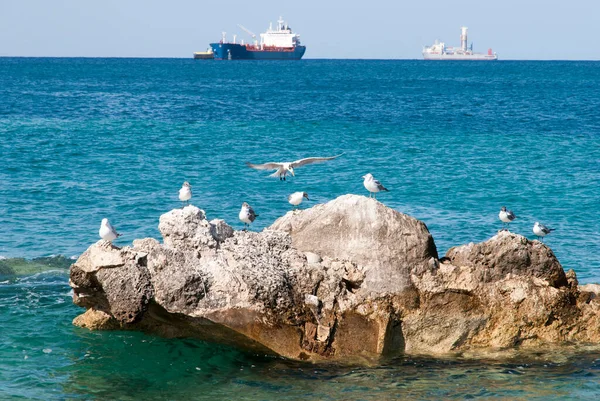 Utsikten Över Åtta Måsar Grand Bahama Rock Och Lastfartyg Bakgrund — Stockfoto