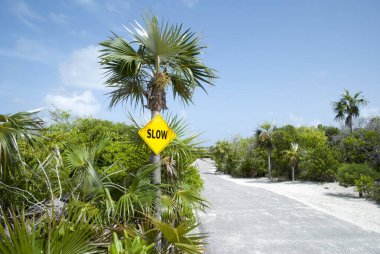 Half Moon Cay turizm adasındaki tek yol ve tabela (Bahamalar).