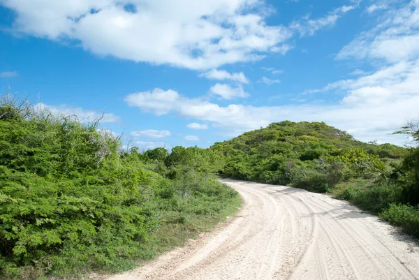 Camino Polvoriento Desierto Isla Del Complejo Grand Turk Islas Turcas —  Fotos de Stock