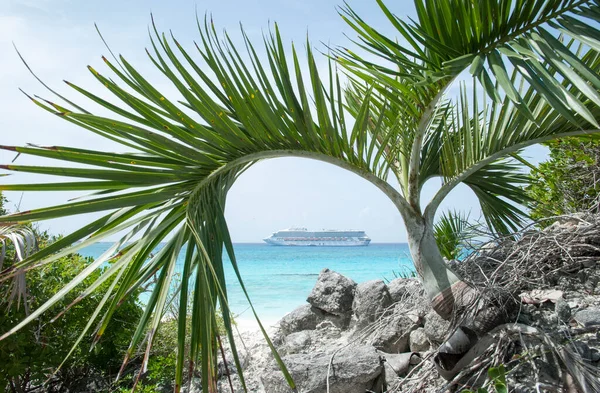 Çerçeveli Görüntü Karayip Denizi Nin Palmiye Üçlüsü Bir Yolcu Gemisi — Stok fotoğraf