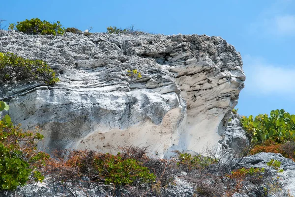 Structure Falaise Érodée Sur Côte Île Grand Turk Îles Turques — Photo