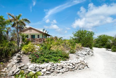 Half Moon Cay 'de sahil boyunca uzanan tek yol (Bahamalar).