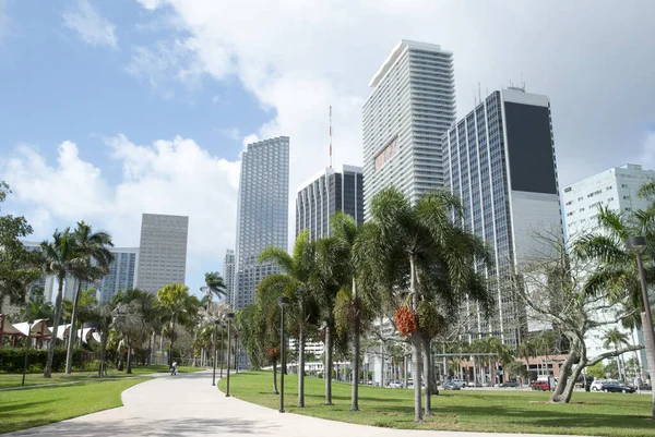 Het Park Voetpad Met Palmbomen Naast Die Naar Miami Centrum — Stockfoto