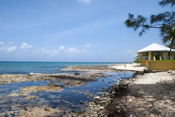Vista Praia Seven Mile Costa Rochosa Ilha Grand Cayman Ilhas — Fotografia de Stock