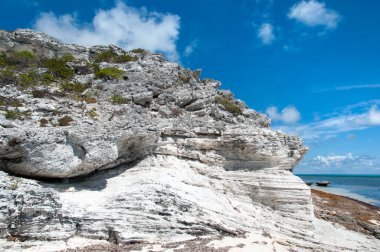 Büyük Türk adası sahilindeki aşınmış dalgalı uçurum (Türkler ve Caicos Adaları).