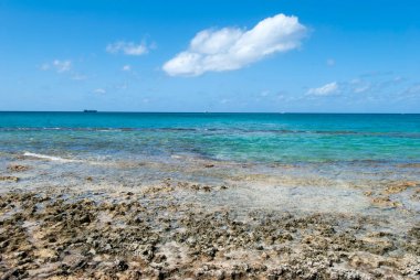 Büyük Cayman Adası kayalık plajı ve Karayip Denizi suları manzarası (Cayman Adaları)).
