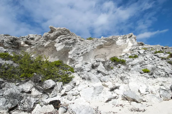 Acantilado Erosionado Bajo Cielo Azul Isla Grand Turk Islas Turcas —  Fotos de Stock