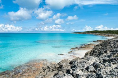 Half Moon Cay Adası 'ndaki (Bahamalar) aşınmış kayalık bir plajın manzarası).