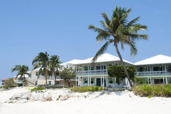 Domy Nakloněné Palmy Ostrově Grand Cayman Seven Mile Beach Kajmanské — Stock fotografie