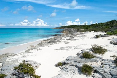 Half Moon Cay 'deki (Bahamalar) kayalık bir plajın manzarası).