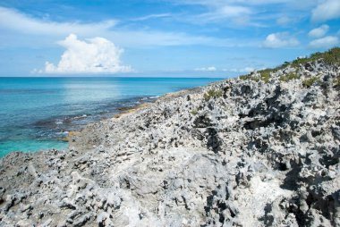 Yarım Ay Koyu 'ndaki (Bahamalar) aşınmış kayalık kıyı şeridi manzarası).