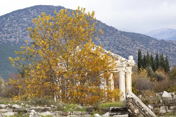 Chute dans Aphrodisias — Photo