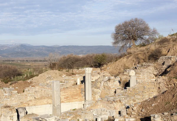 Руїни Ефес — стокове фото