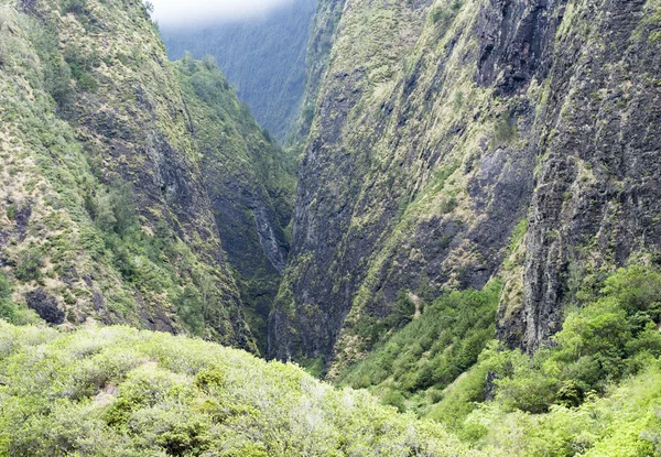 Maui Island State Park — Stock Photo, Image