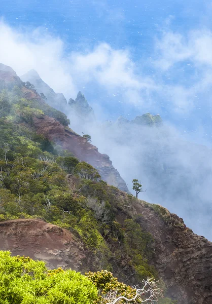 Paisaje de la isla Kauai — Foto de Stock