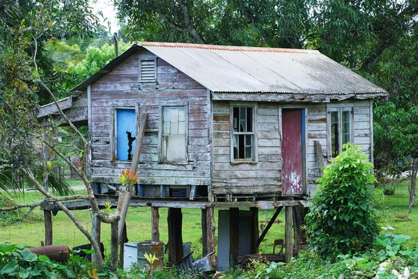 Belizean casa di villaggio — Foto Stock