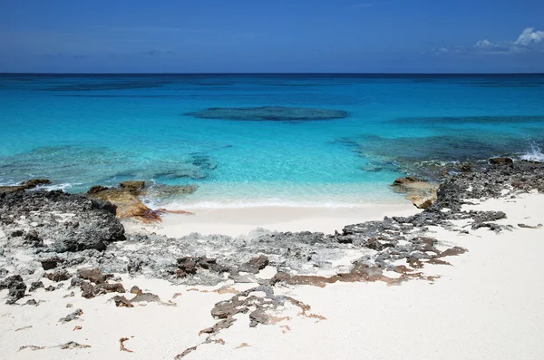 Plaja din Caraibe — Fotografie, imagine de stoc