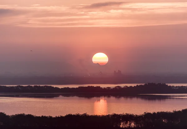 Alba a Tampa — Foto Stock