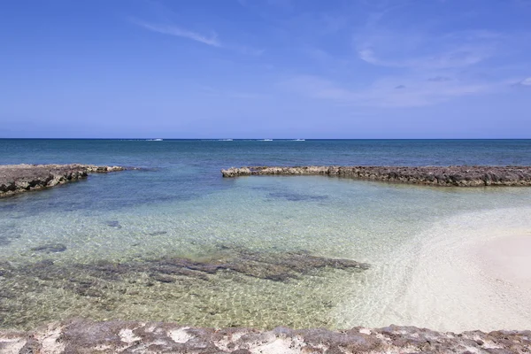 Plage de Grand Cayman — Photo