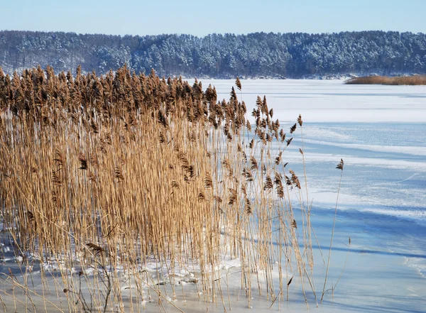 Lago congelado — Fotografia de Stock