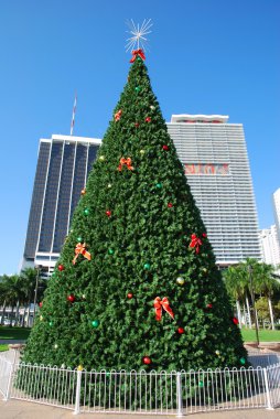 Miami Noel ağacı
