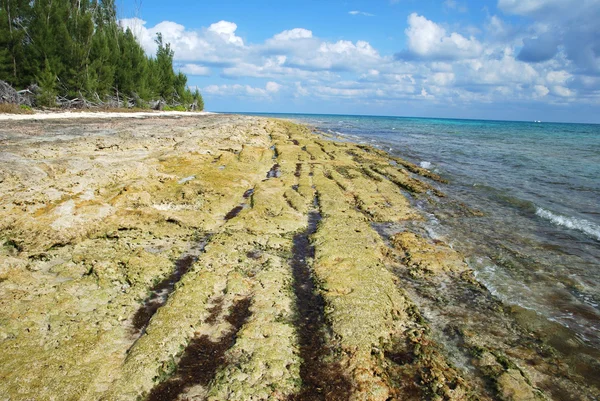 Rocky Bahamian Beach — Stock Photo, Image