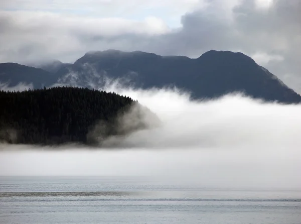 Alaskan-nebel — Stockfoto