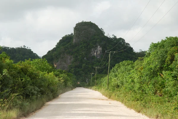 Belize Countryside Road — Stock Photo, Image