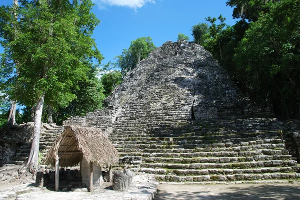 Ruinen von coba — Stockfoto