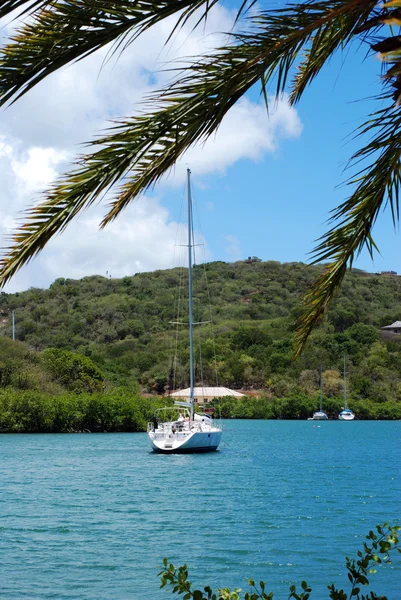 Kijken naar Nelson's Bay — Stockfoto