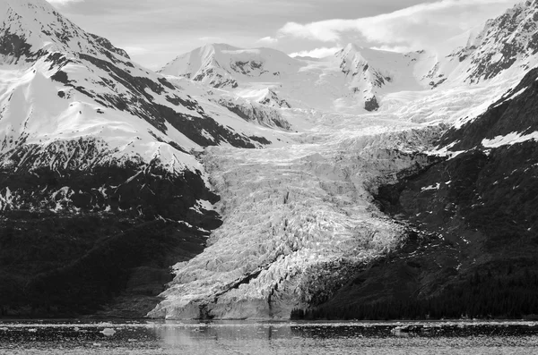 Glaciar fiorde universitário — Fotografia de Stock