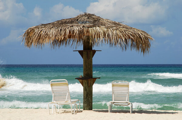 Карибский отдых
