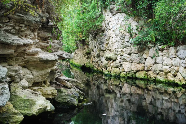 Parque tropical — Foto de Stock