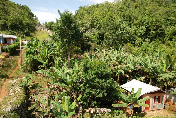 Pueblo jamaicano — Foto de Stock