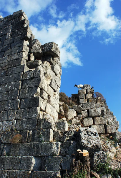 Ruines anciennes de la ville — Photo