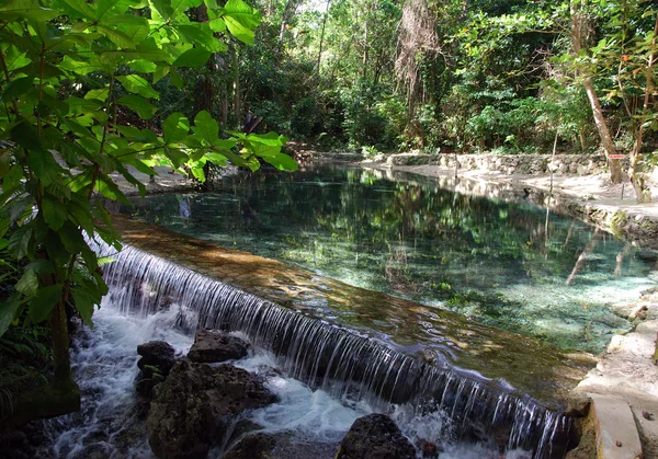 Tropical River — Stock Photo, Image