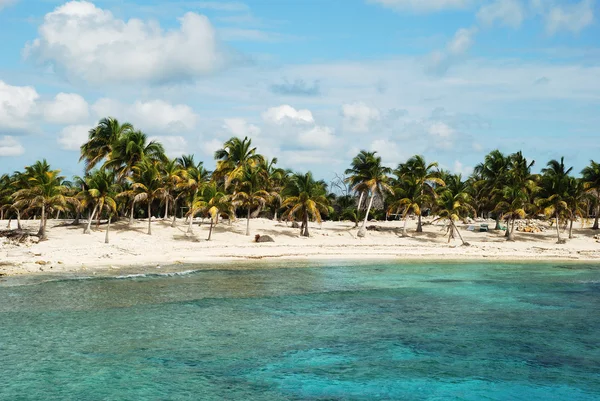 Mexican Beach — Stock Photo, Image