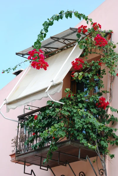 Tropischer Balkon — Stockfoto