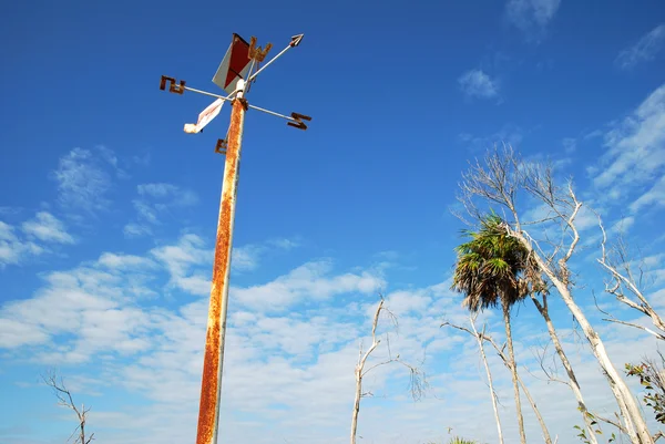 Wind Direction