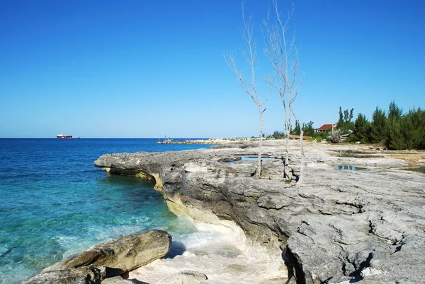 Grand Bahama Adası manzara — Stok fotoğraf