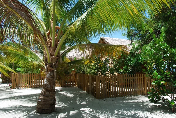 Tropical Shelter — Stock Photo, Image