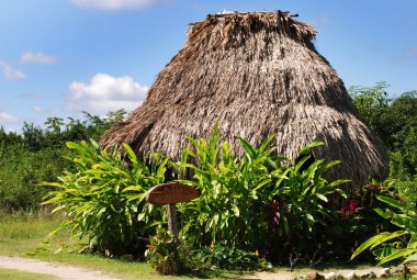 Erkekler, işareti kadın