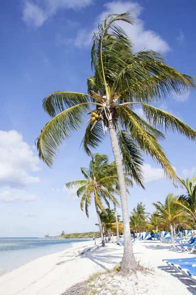 Ochtend strand — Stockfoto