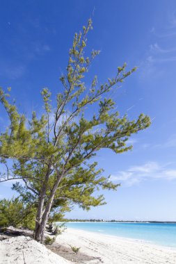 Boş Beach, Bahama Adaları