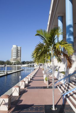 Tampa'da yürüyüş