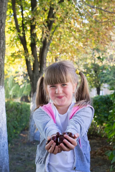 Little girl with chestnuts — Stock Photo, Image