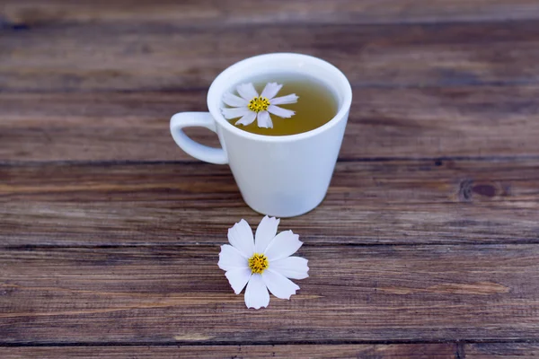 Cup of tea with daisy flower — Stock Photo, Image