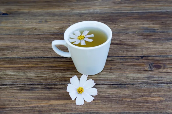 Cup of tea with daisy flower — Stock Photo, Image