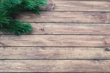 kestane kurullarında